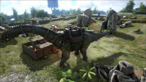 ark 4