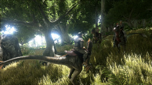 ark 6